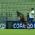 jean paulo fernandes bahia bahia copa nordeste 2017 goleiro