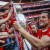 julio cesar benfica - 2015-2016 campeao - imagem lusa