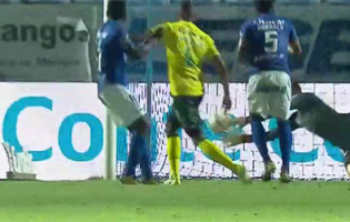 Mário Felgueiras aplica-se em duas defesas – CD Feirense 2-1 FC Paços de Ferreira