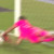 pedro trigueira vitoria fc belenenses primeira liga 2017-2018