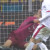 Simone Perilli podernone inter coppa italia 2017-2018