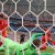 jordan pickford inglaterra vs suecia - mundial 2018 (4) - edit