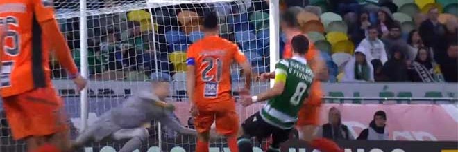 Ricardo Ferreira protagoniza defesa de qualidade – Sporting CP 3-1 Portimonense SC