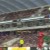 runar runarsson dijon saint etienne ligue 1 2019 2020
