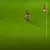 marco rocha santa clara boavista primeira liga 2019 2020