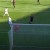 mateus pasinato moreirense vitoria sc primeira liga 2019 2020