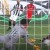 shuichi gonda portimonense gil vicente primeira liga 2019 2020