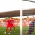 stanislav kritciuk gil vicente benfica primeira liga 2021 2022